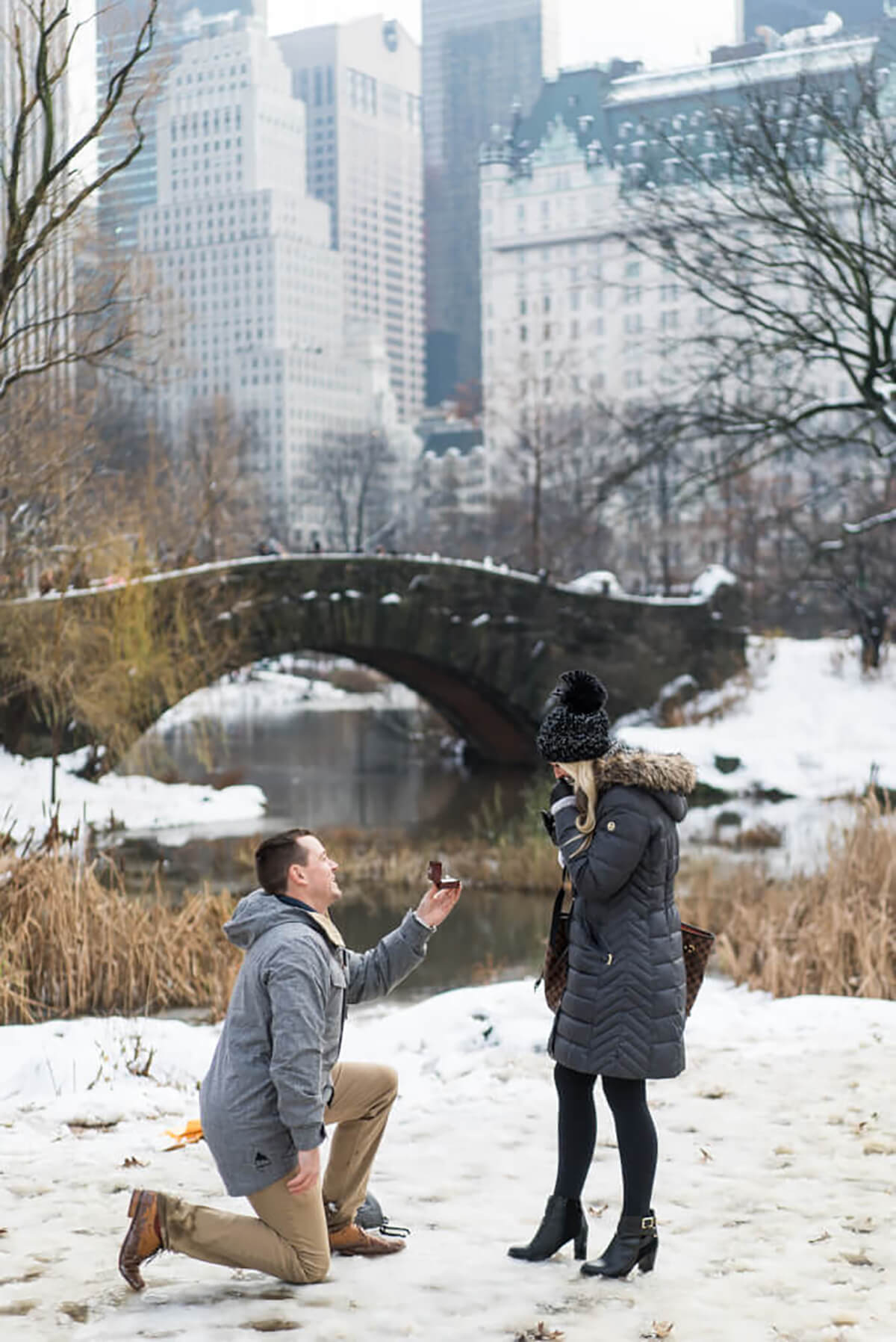 Vanessa and Shane's proposal at Gapstow Bridge, Central Park 3