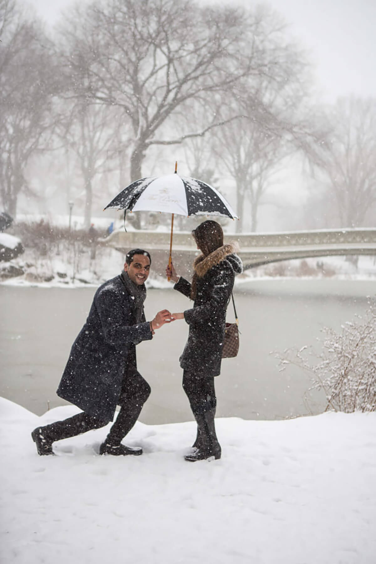 Wonderful Snowy Proposal in Central Park! 3