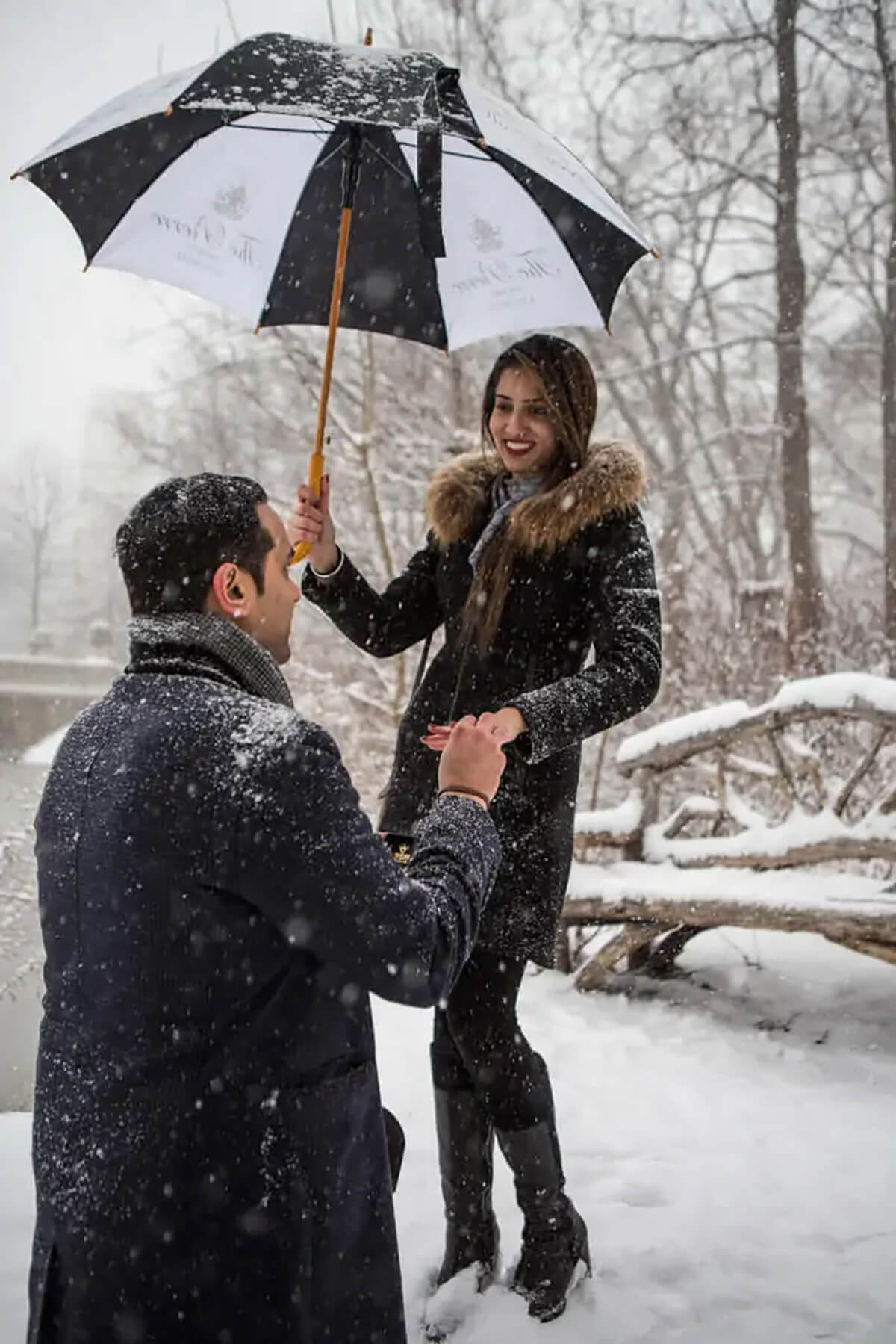 Wonderful Snowy Proposal in Central Park! 4