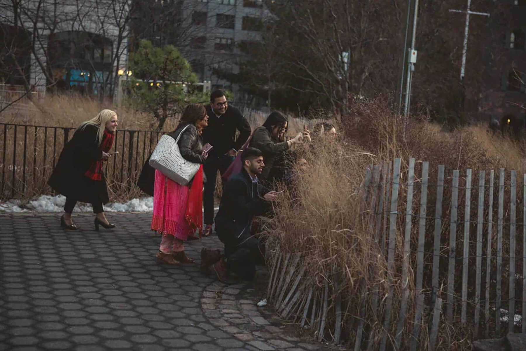 Brooklyn Bridge Park Marriage Proposal 2