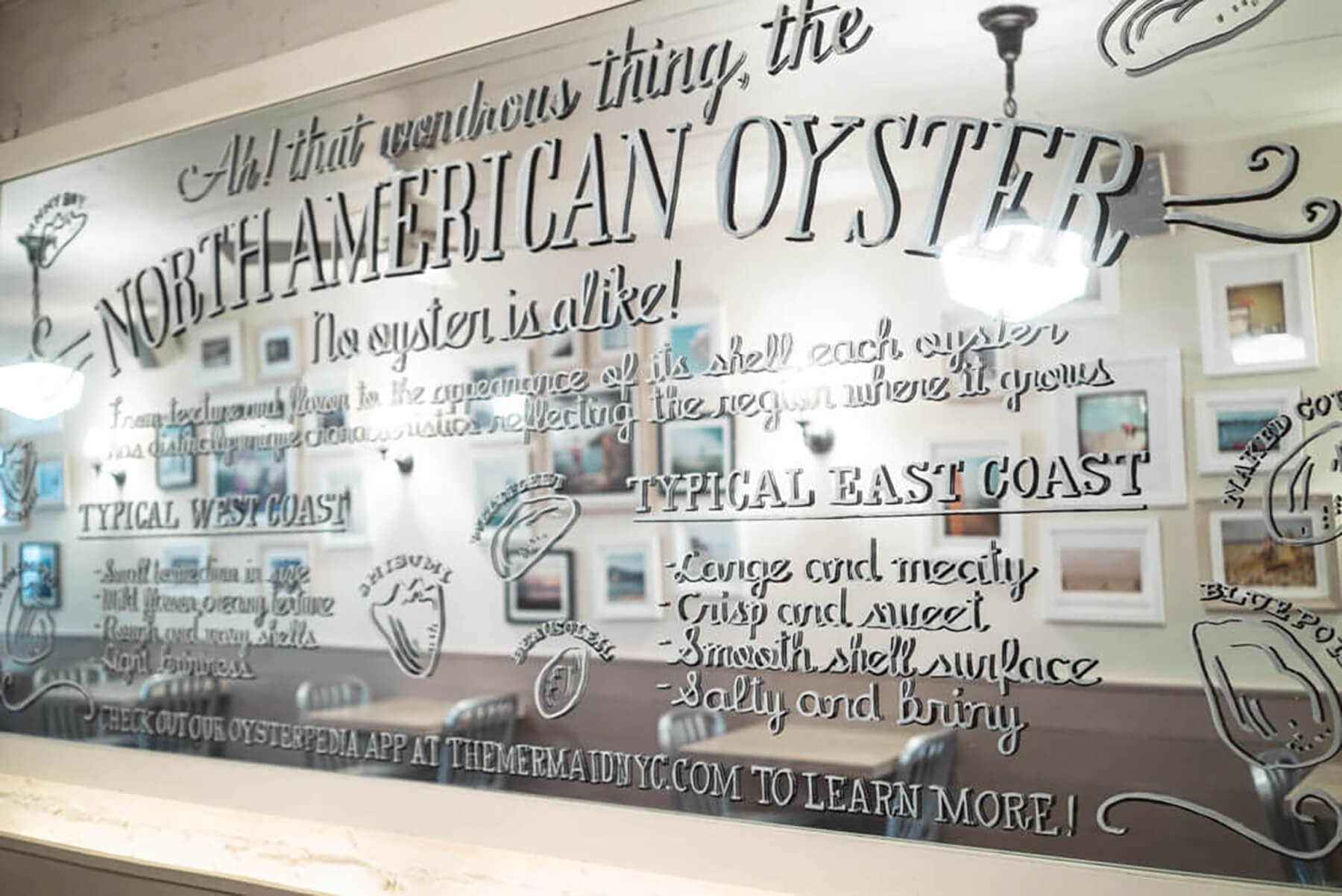 Restaurant Guide: Mermaid Oyster Bar. Perfect Cozy Restaurant For An Intimate Proposal. 11