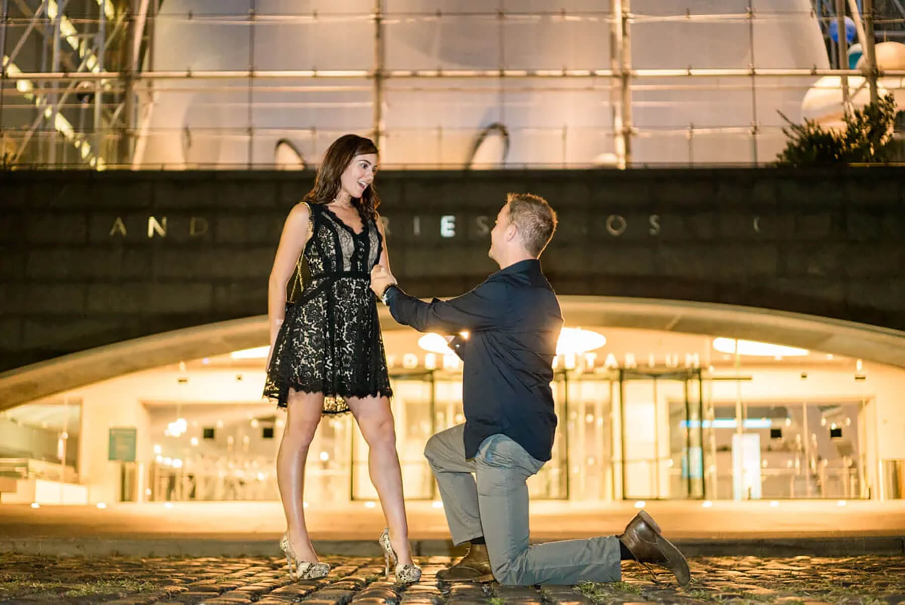 Hayden Planetarium Marriage Proposal 3