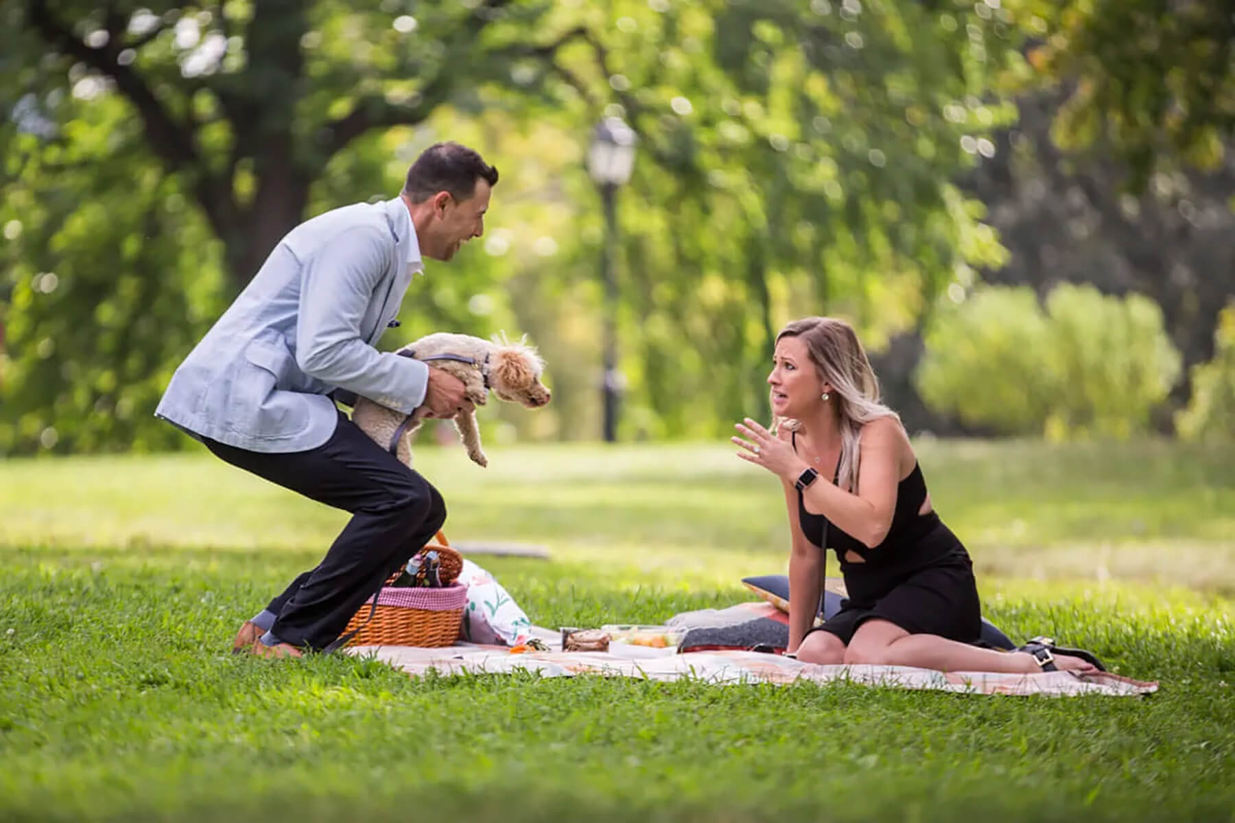 Surprise Picnic Proposal in Central Park 3