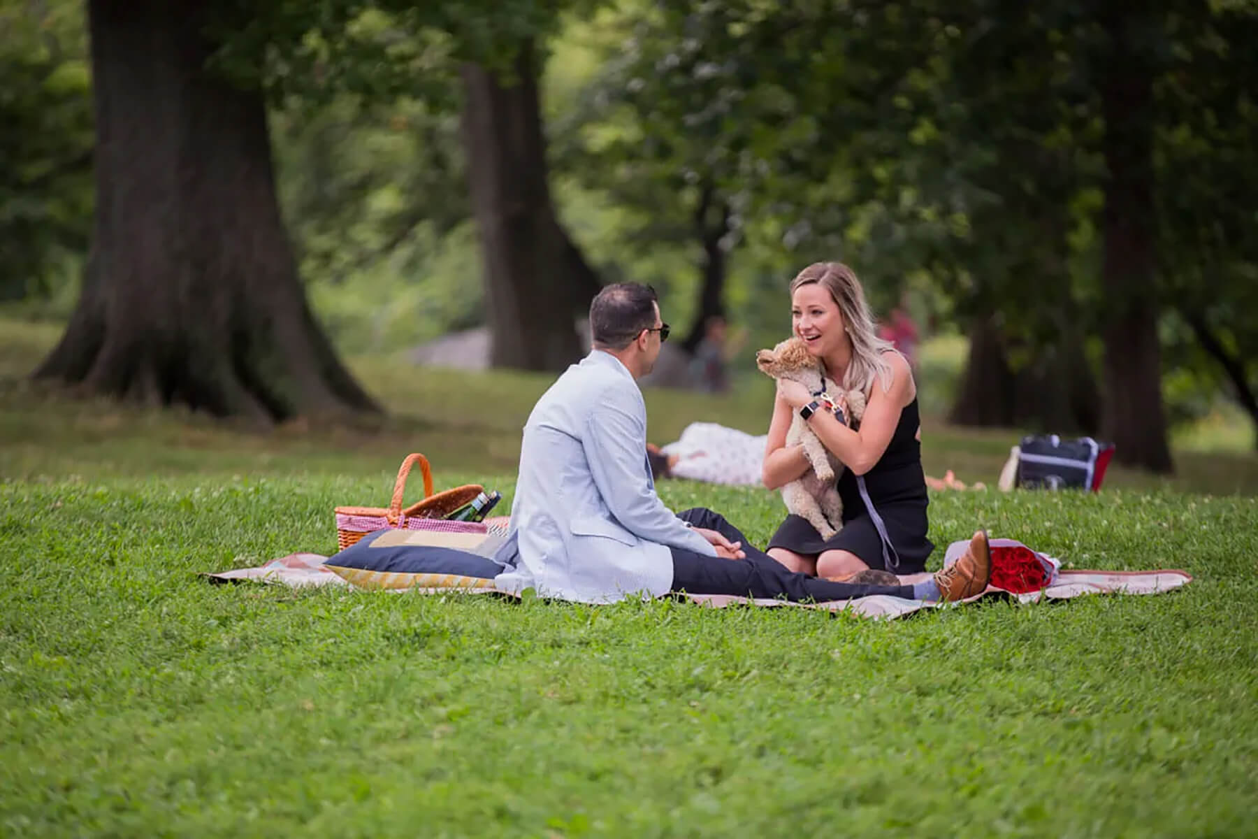 Surprise Picnic Proposal in Central Park 4