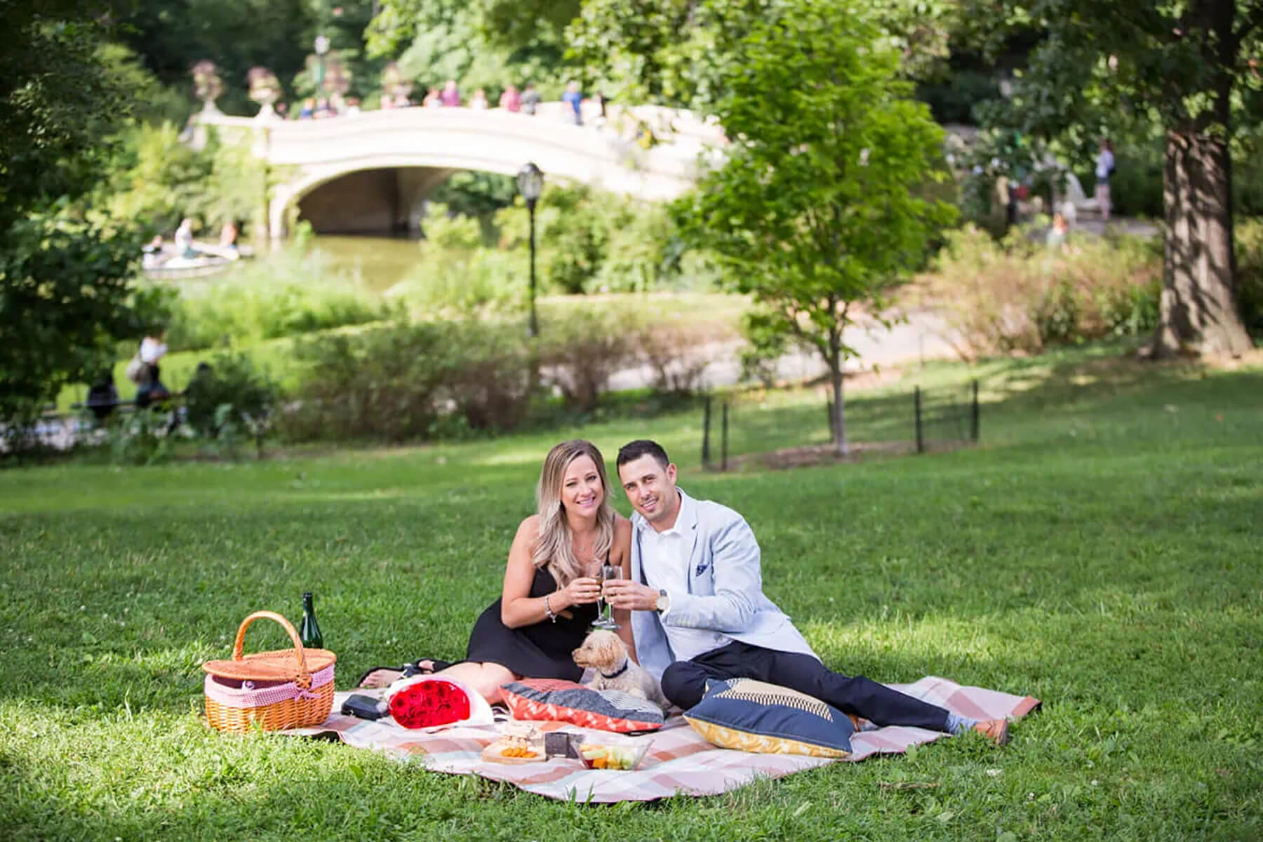 Surprise Picnic Proposal in Central Park 6