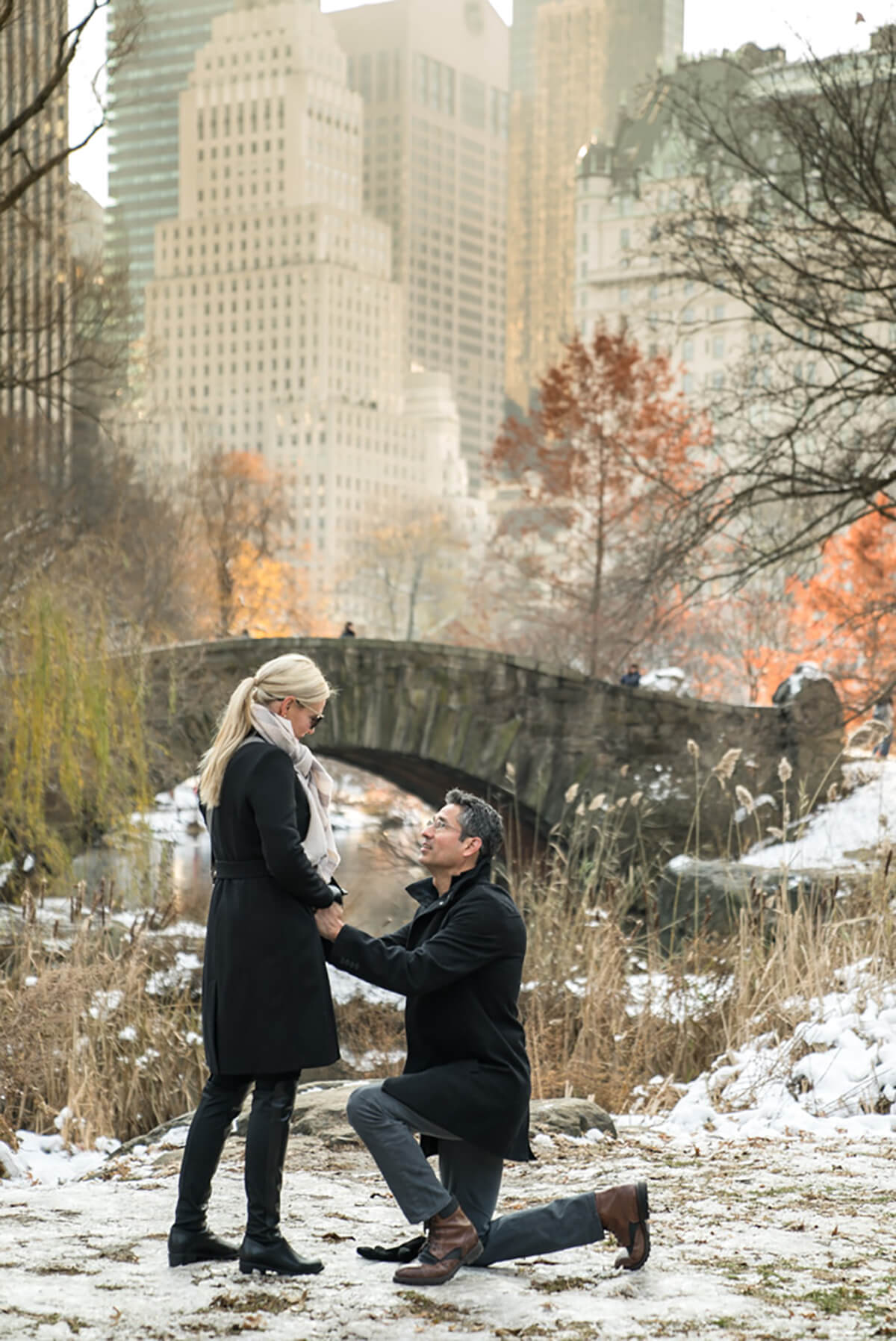 Gapstow Bridge Marriage Proposal 3