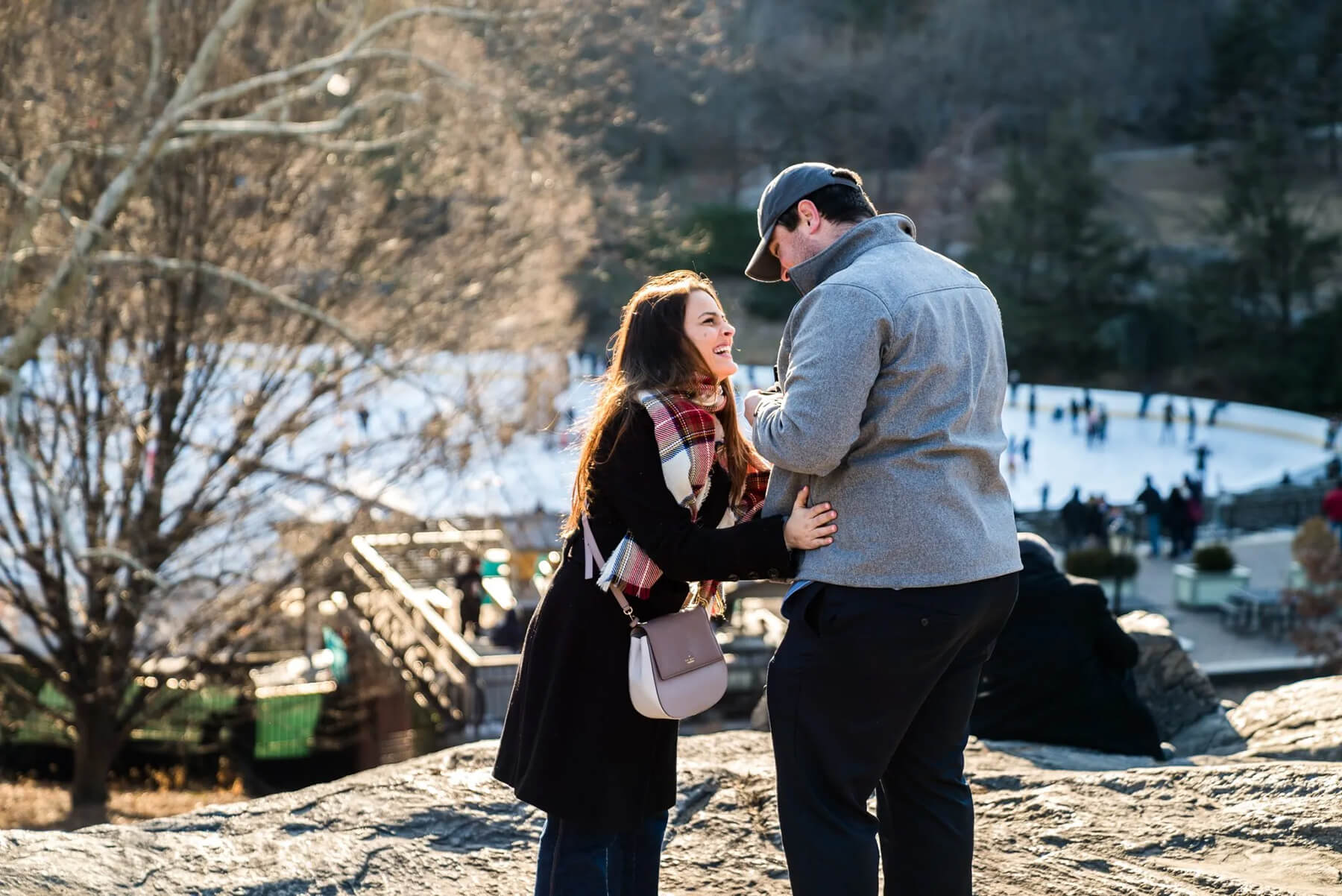 Central Park Proposal at the «Rock» 4