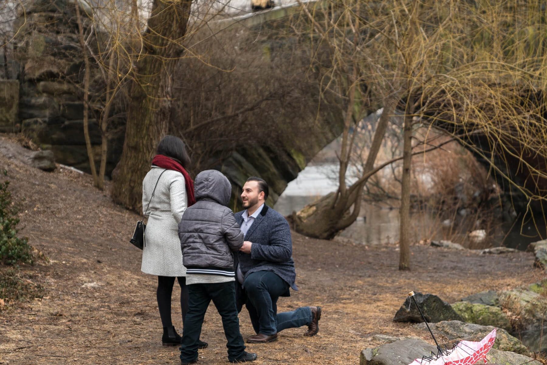 Gapstow Bridge Surprise Proposal 3