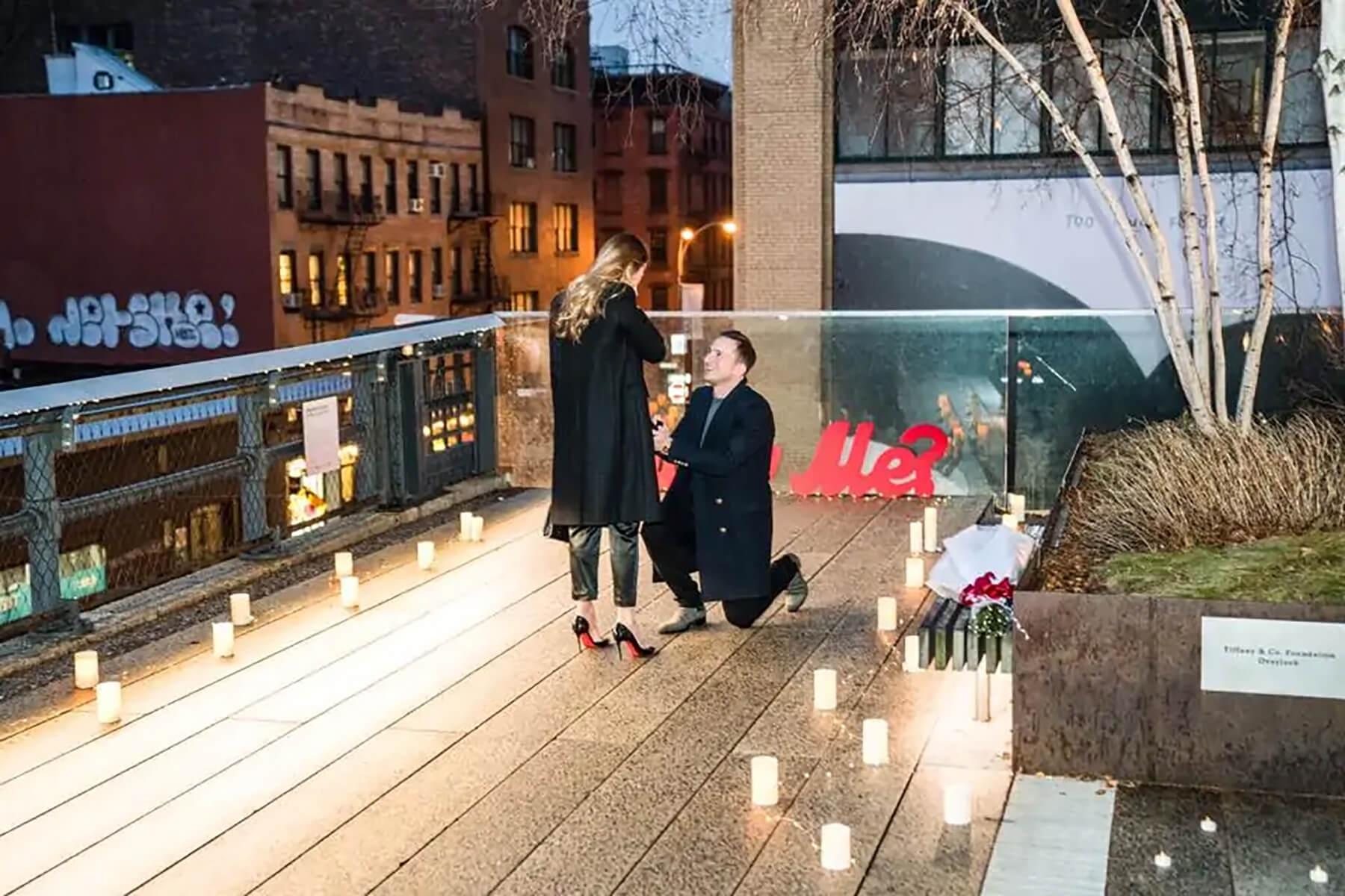 How to propose on the High Line 3