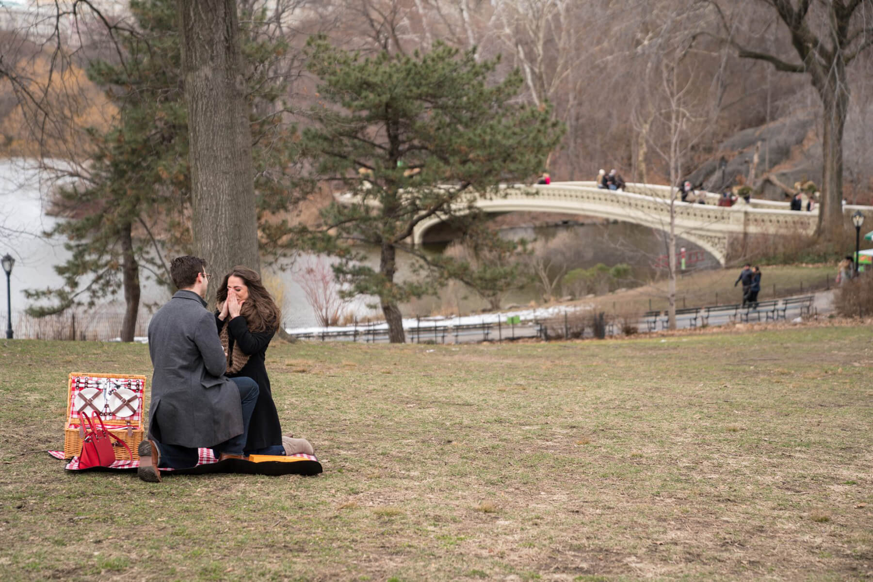 Romantic Picnic Marriage Proposal 3