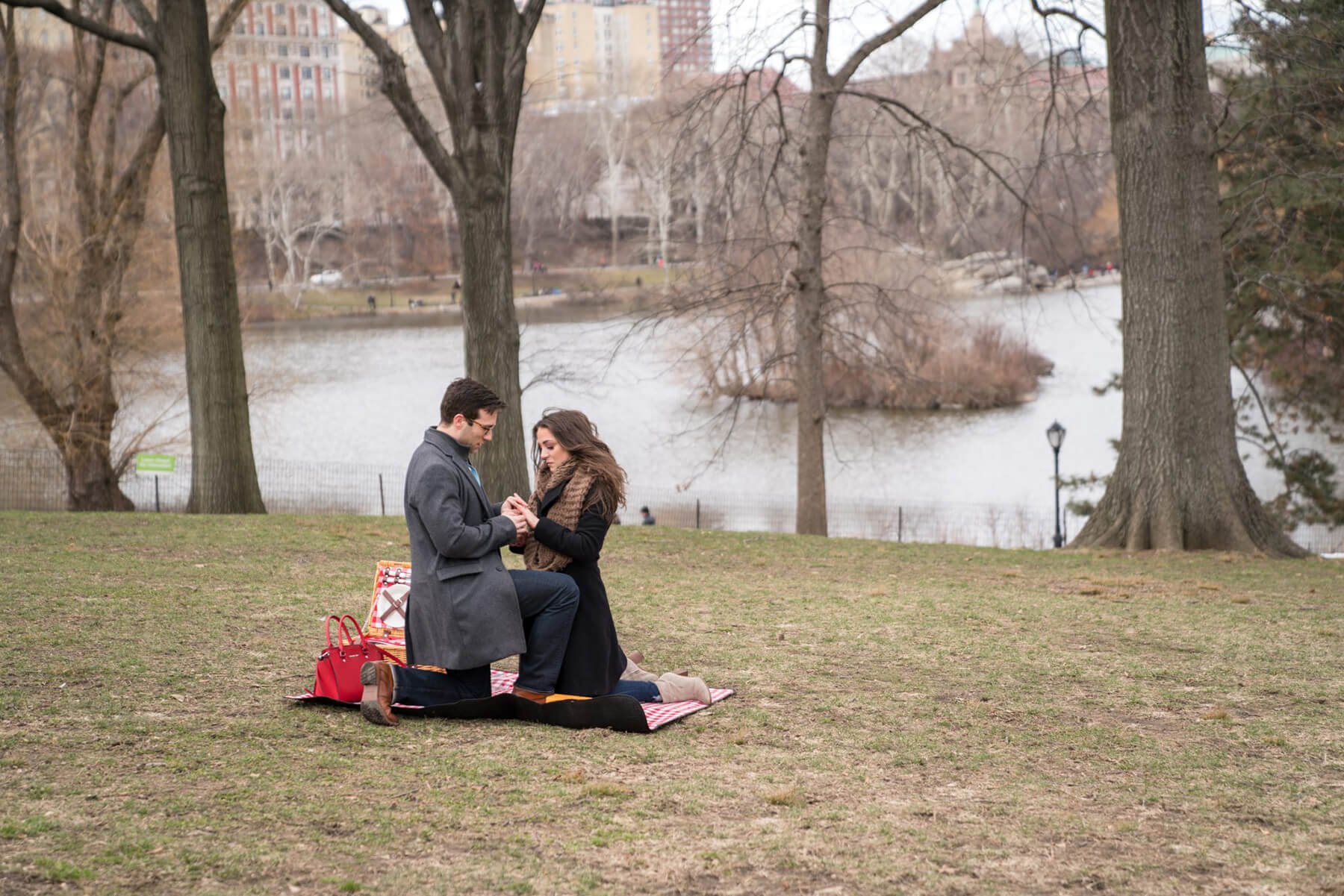 Romantic Picnic Marriage Proposal 4