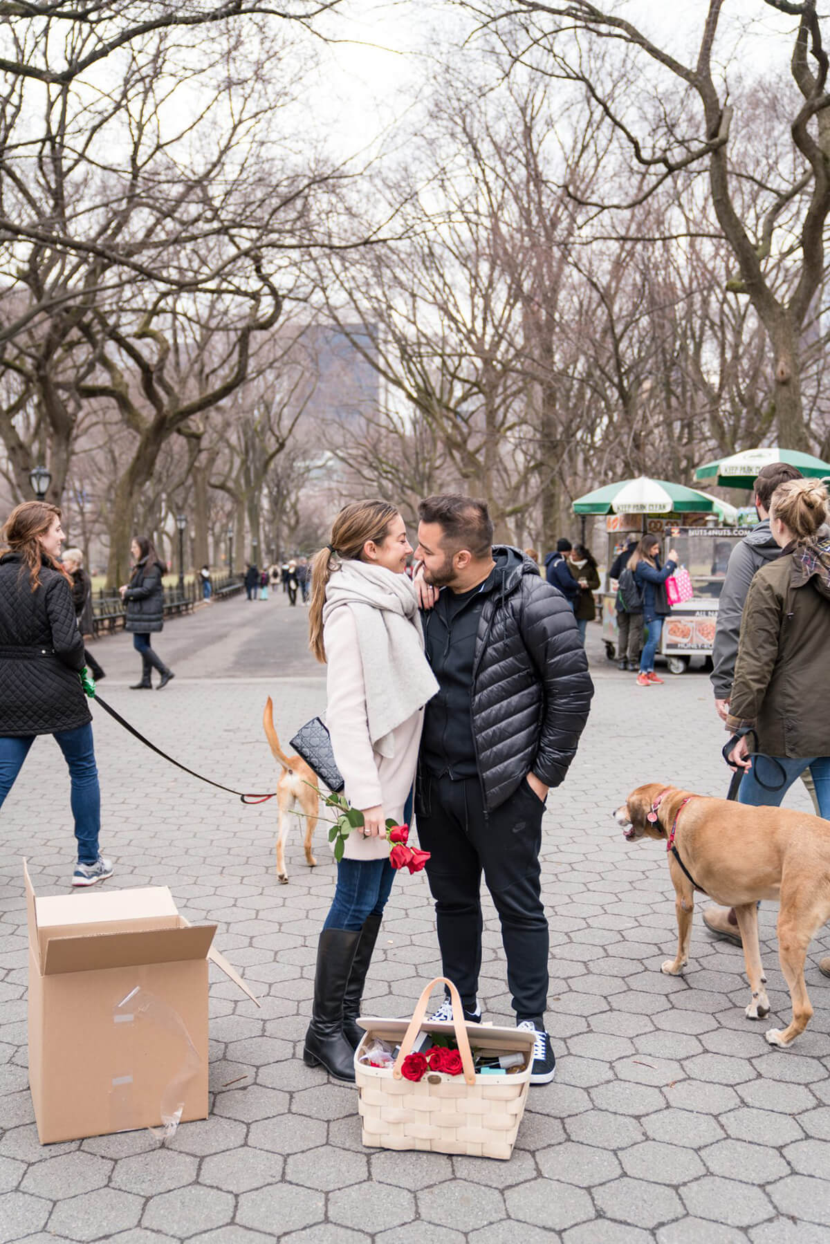 Special UPS Delivery In Central Park Turned Out To Be a Well Planned Marriage Proposal 8