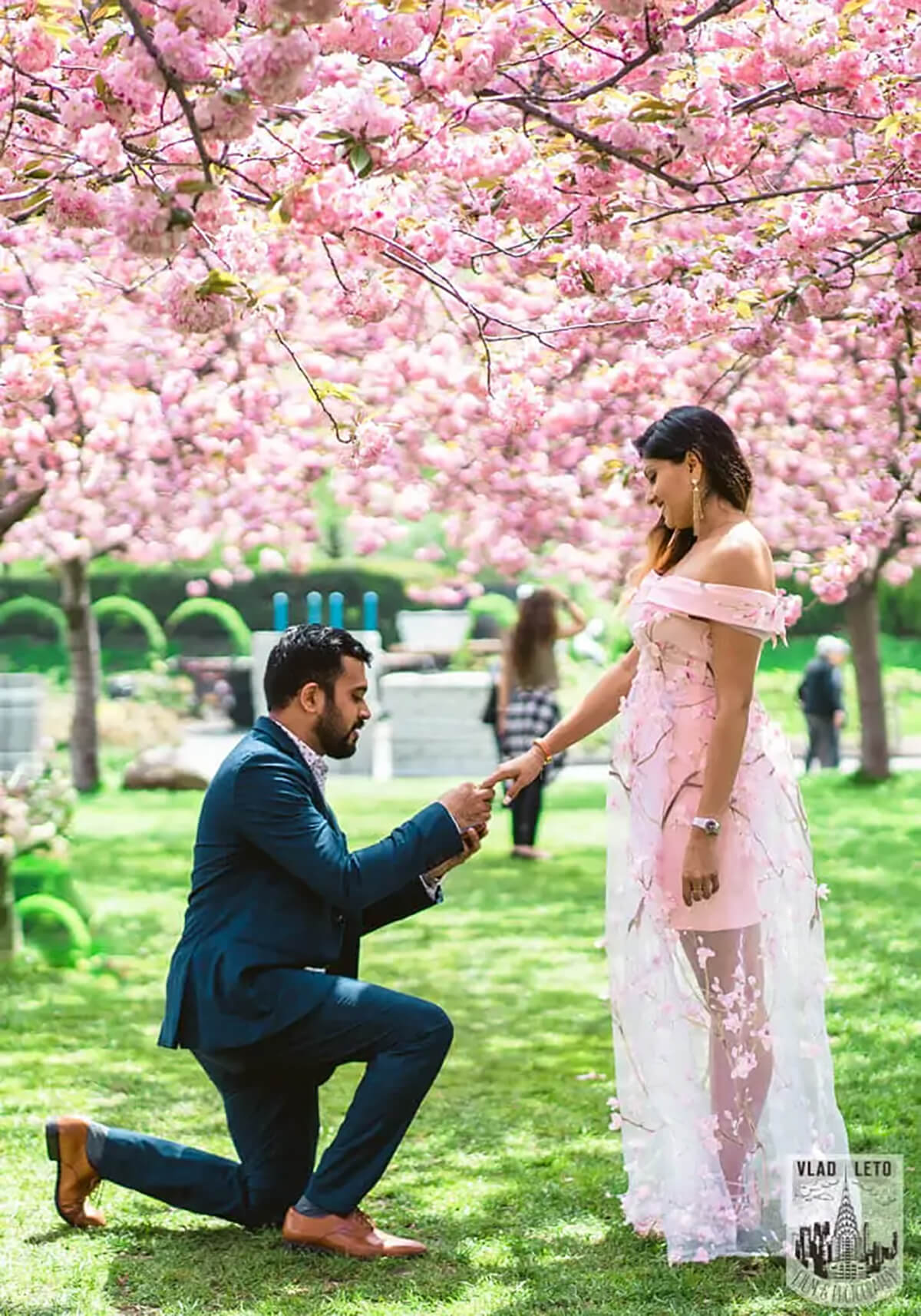 Best places for a Cherry Blossom Theme Proposal 3