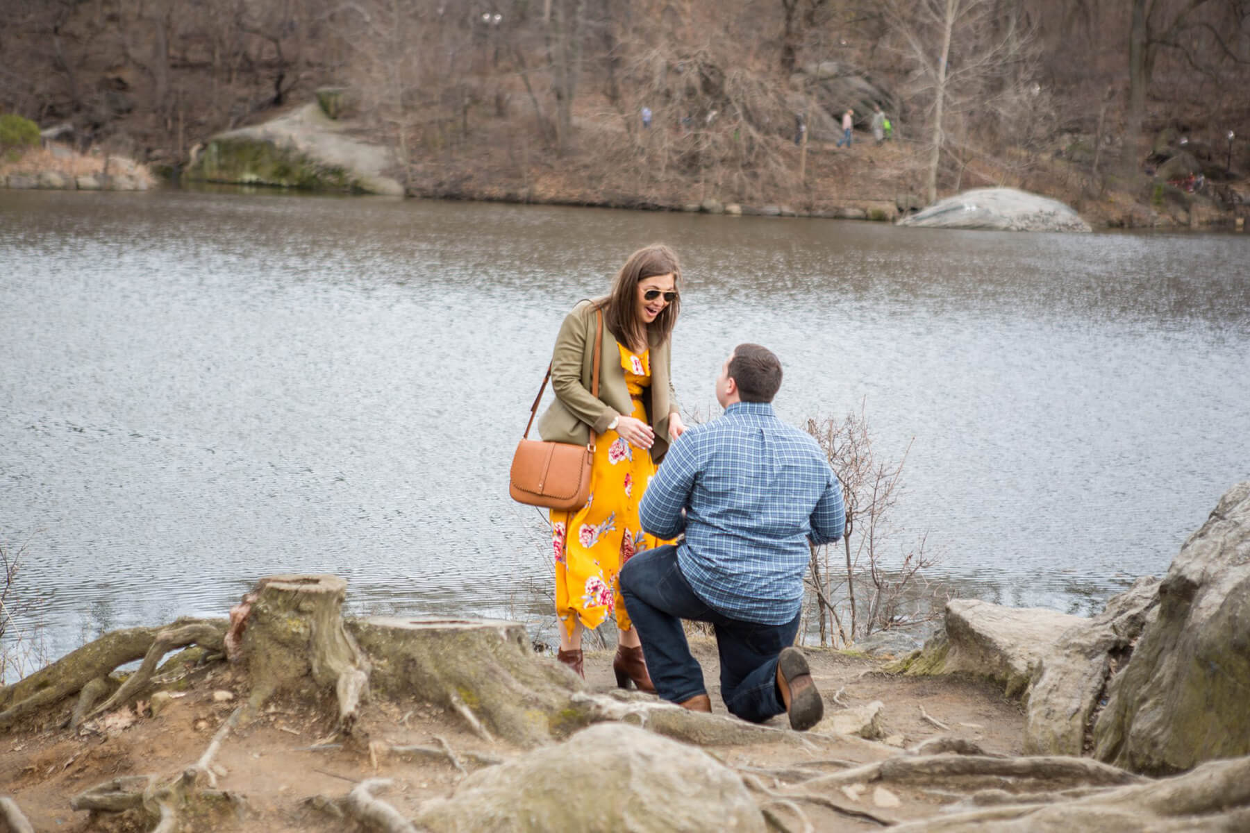 Top 5 parks to pop the question this spring 3