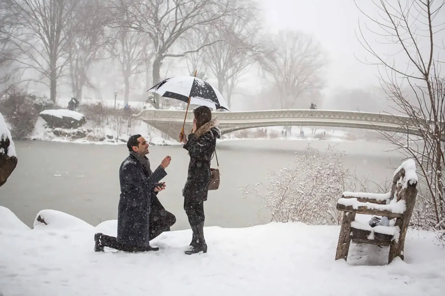 A perfect winter proposal in New York 1