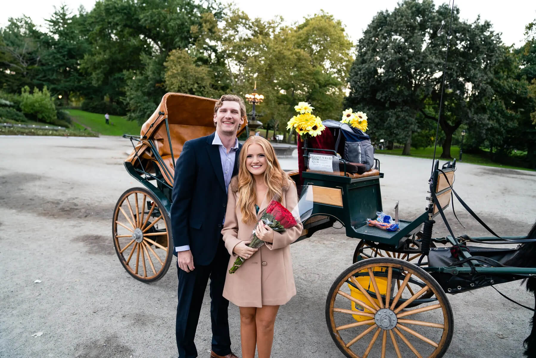 Savannah and Evan Horse And Carriage Proposal 7