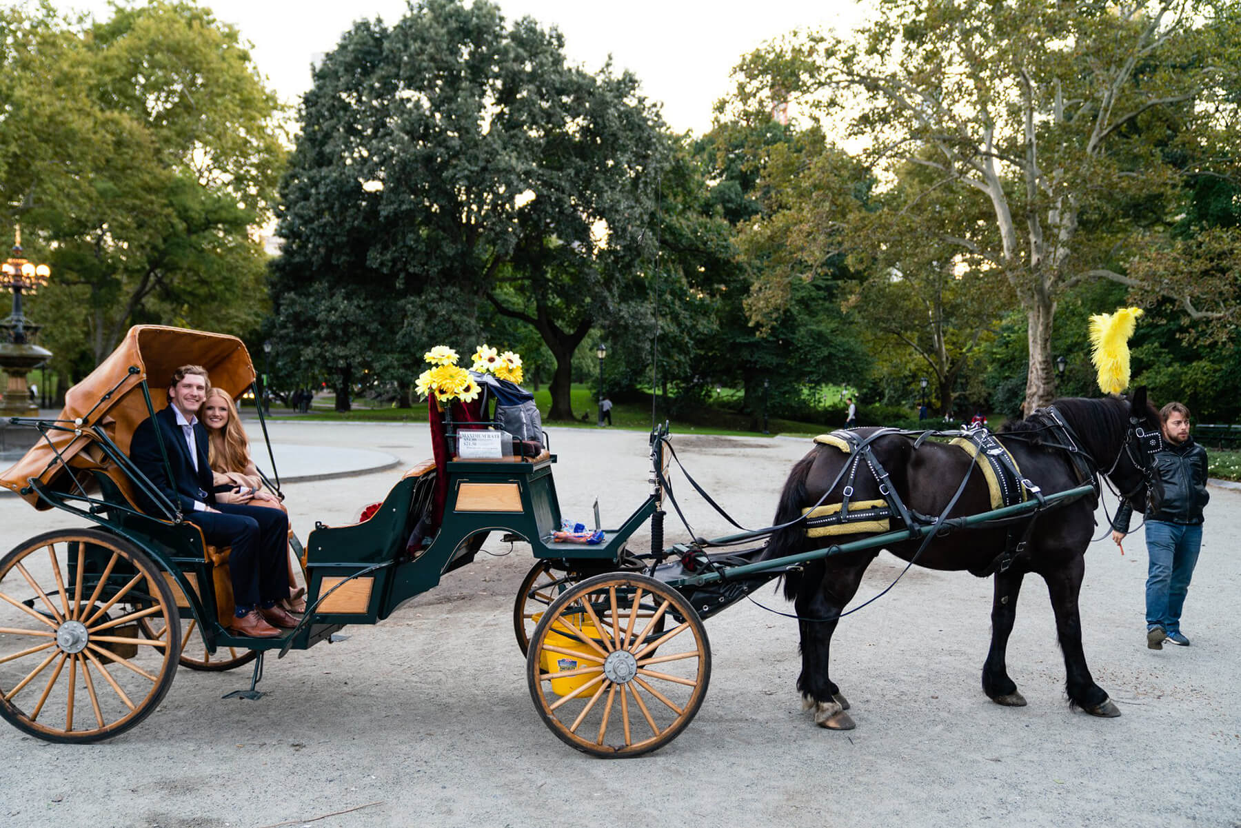 Savannah and Evan Horse And Carriage Proposal 8