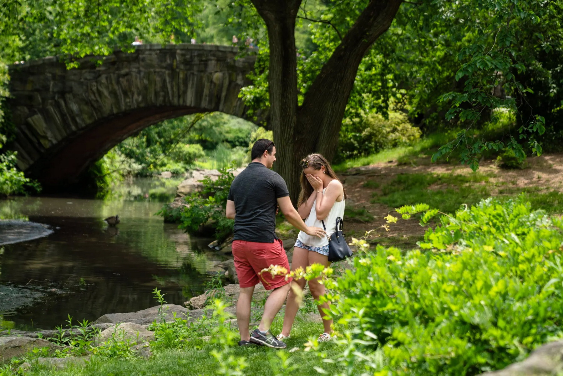 Best Proposal Reactions of 2018