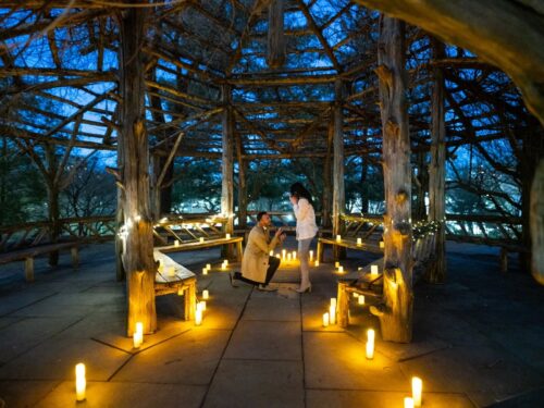 Candlelight proposal in Central Park