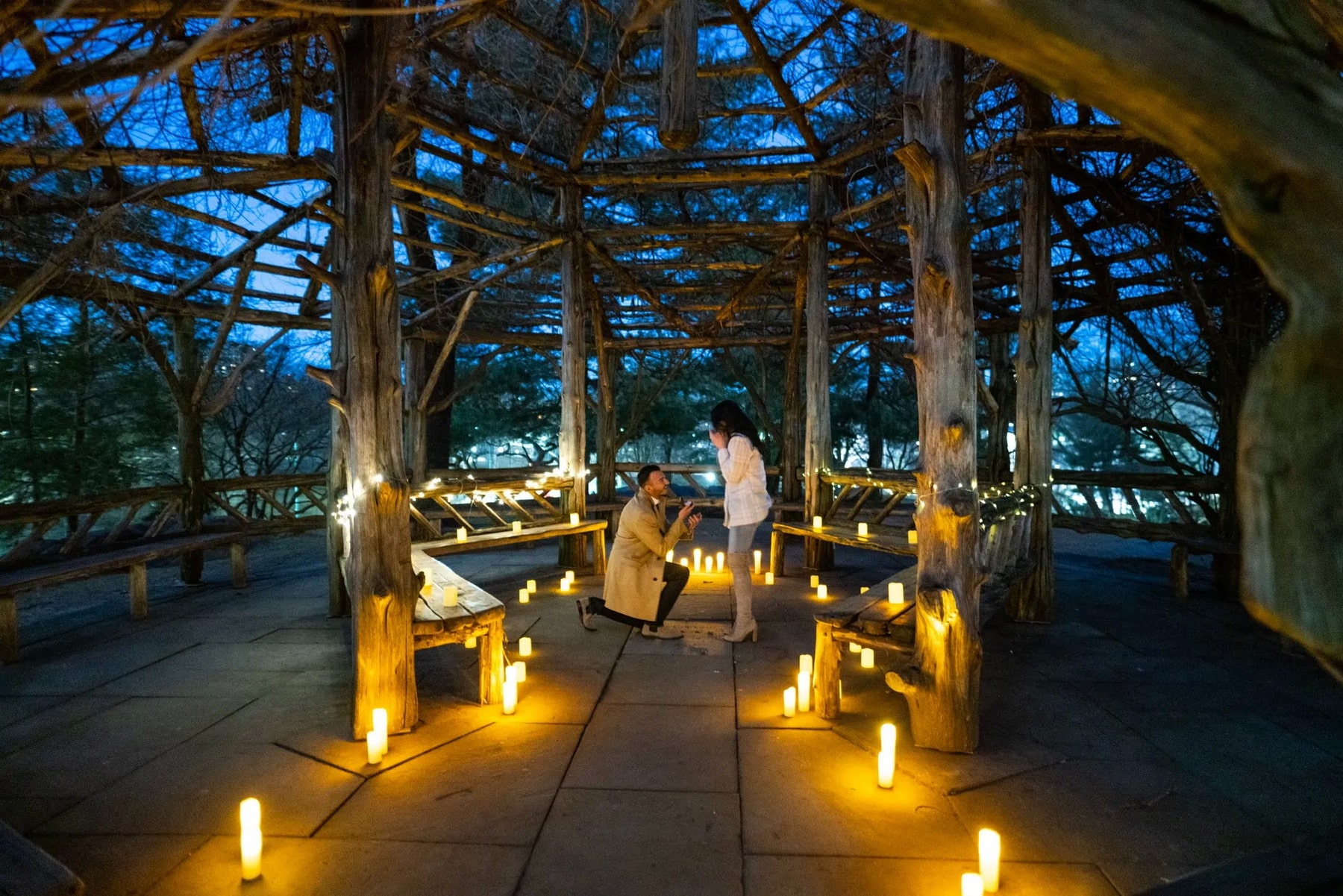 Candlelight proposal in Central Park