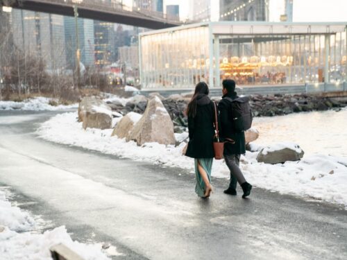 Brooklyn Bridge Park Surprise Proposal