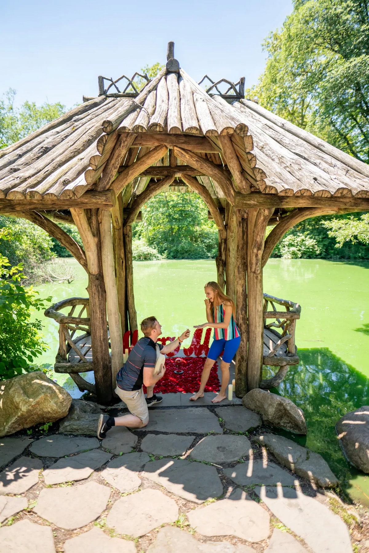 Beauty and the Beast theme marriage proposal