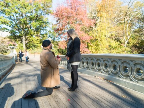 Fall proposals ideas you can do right now in New York