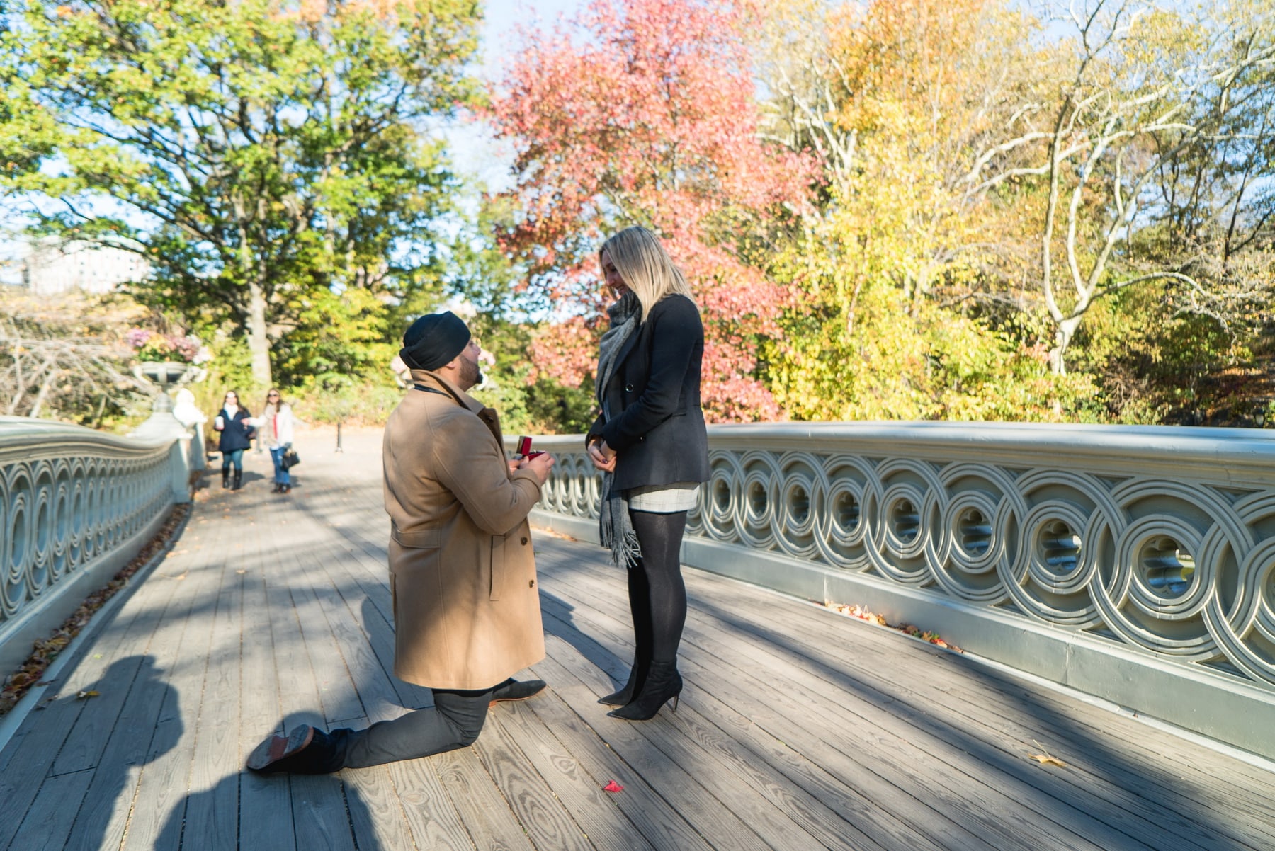 Fall proposals ideas you can do right now in New York