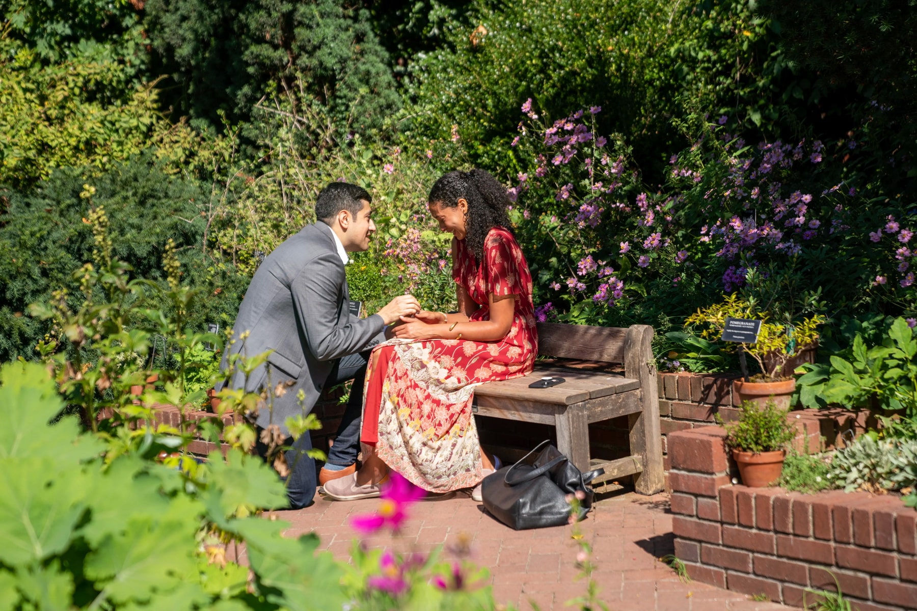 Brooklyn Botanical Garden Marriage Proposal