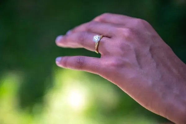 Brooklyn Botanical Garden Marriage Proposal