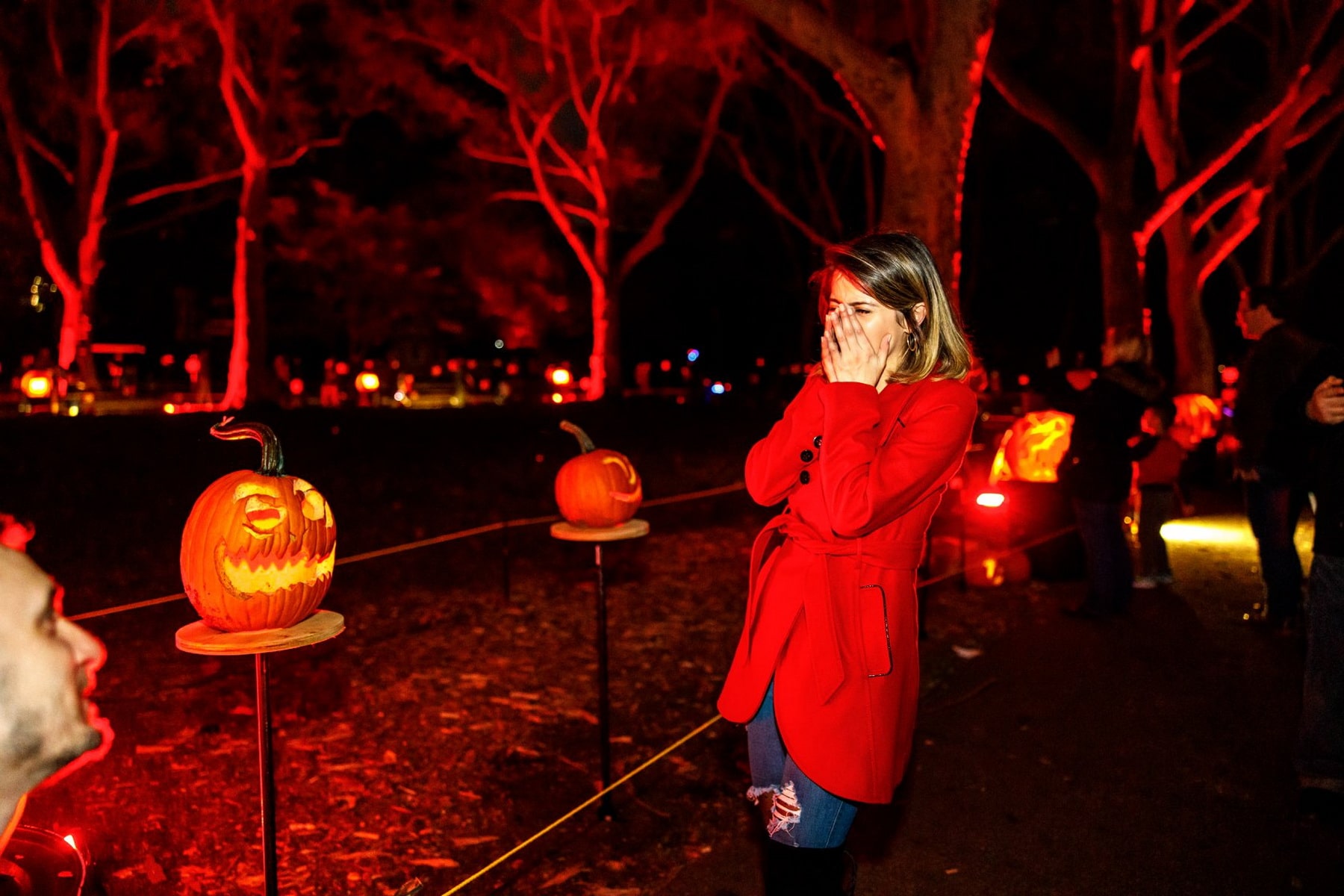 Halloween Inspired Pumpkin Carving Proposal