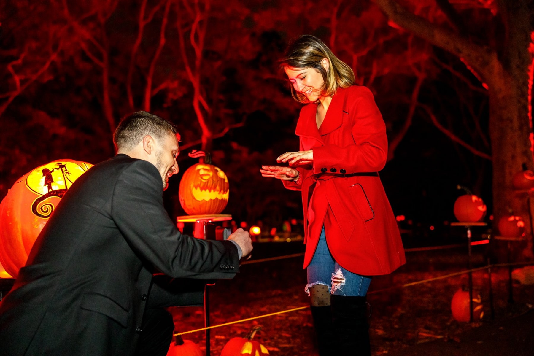 Halloween Inspired Pumpkin Carving Proposal