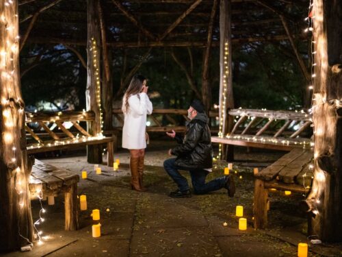 Surprise marriage proposal in Central Park