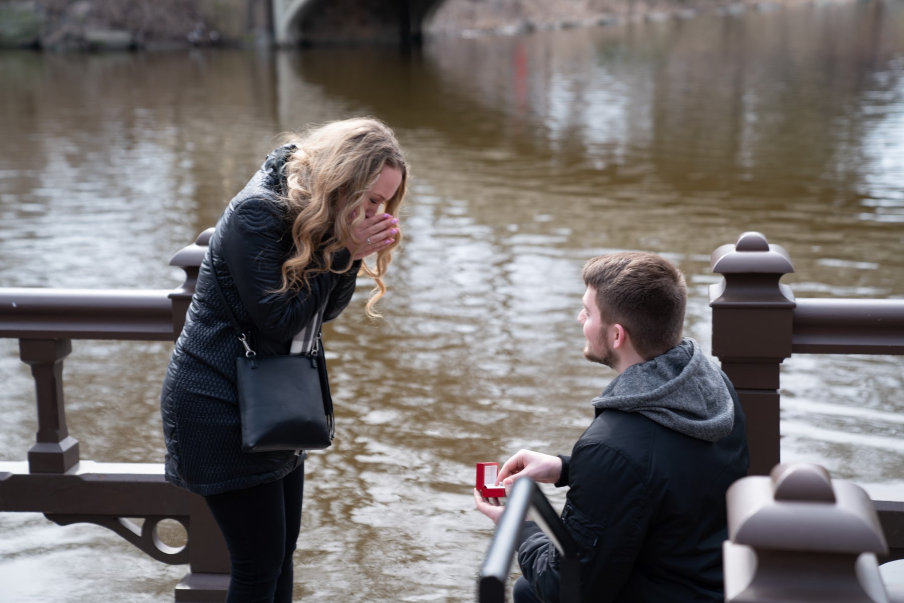 Best Proposal Reactions of 2019