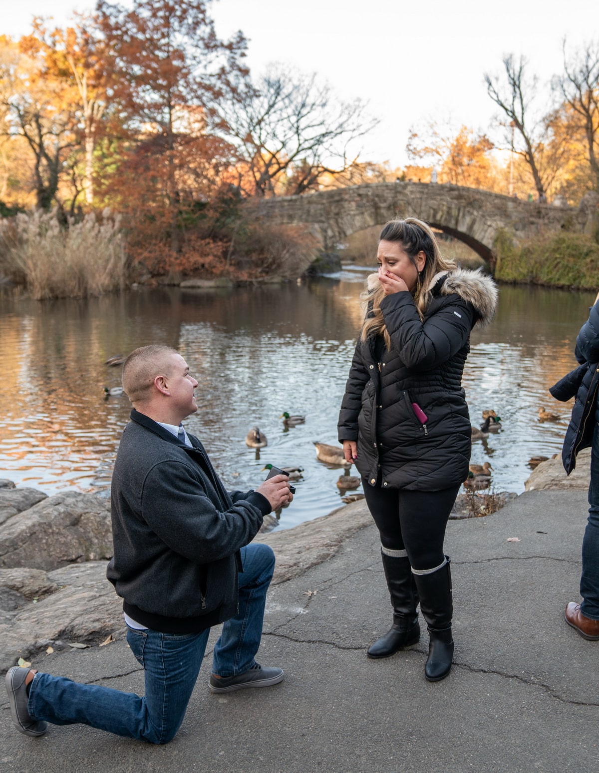 Best Proposal Reactions of 2019