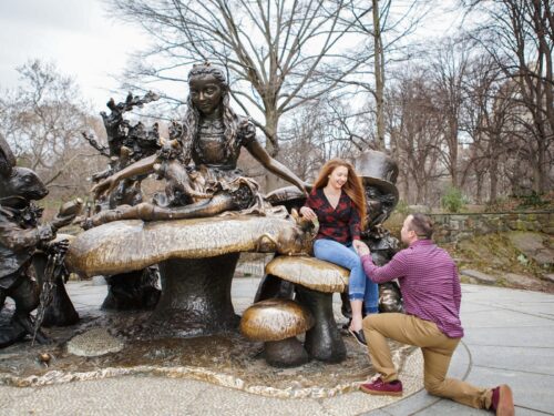 Alice in Wonderland marriage proposal