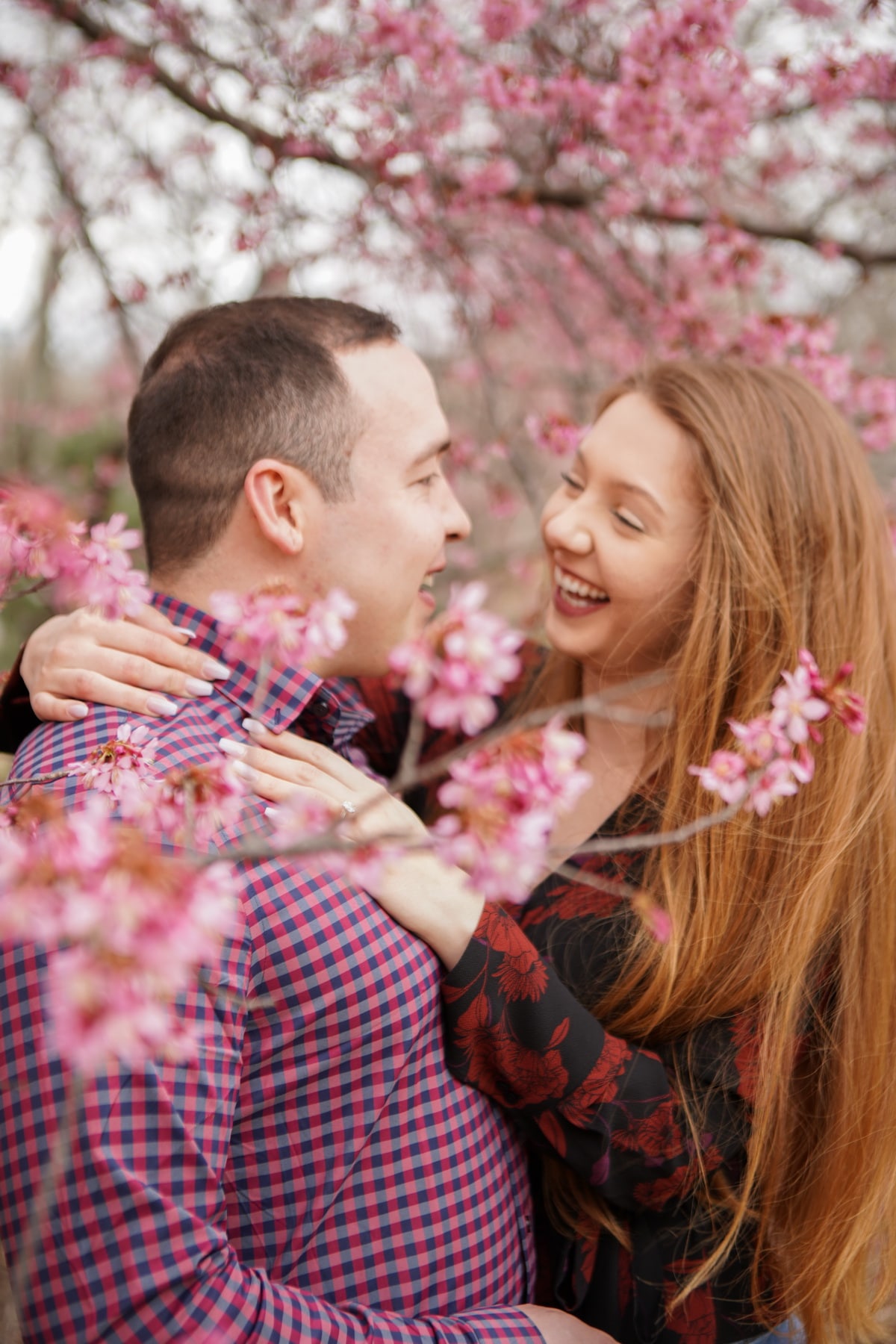 Alice in Wonderland marriage proposal