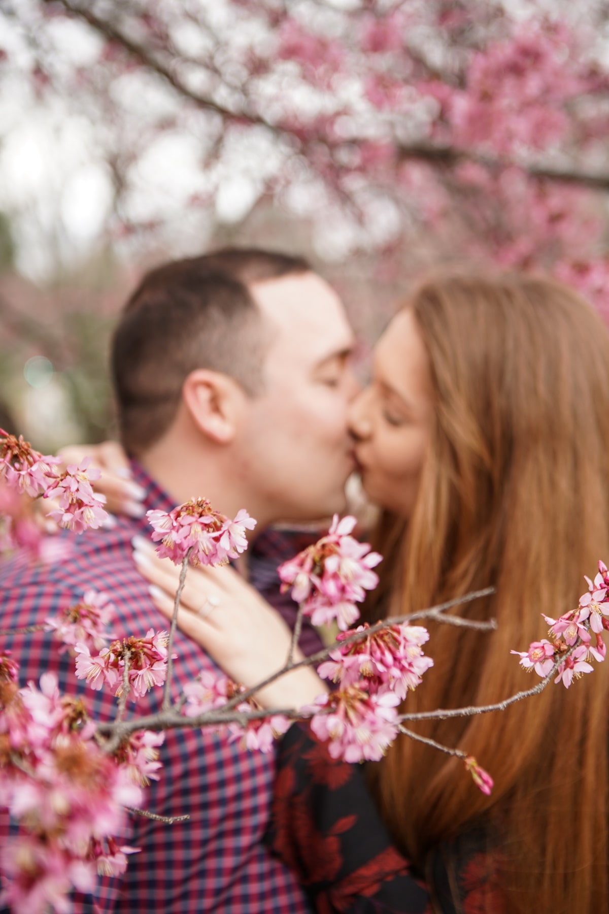 Alice in Wonderland marriage proposal