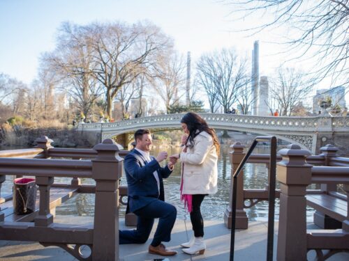 Stories from our clients: Haley and Bradly engagement in Central Park