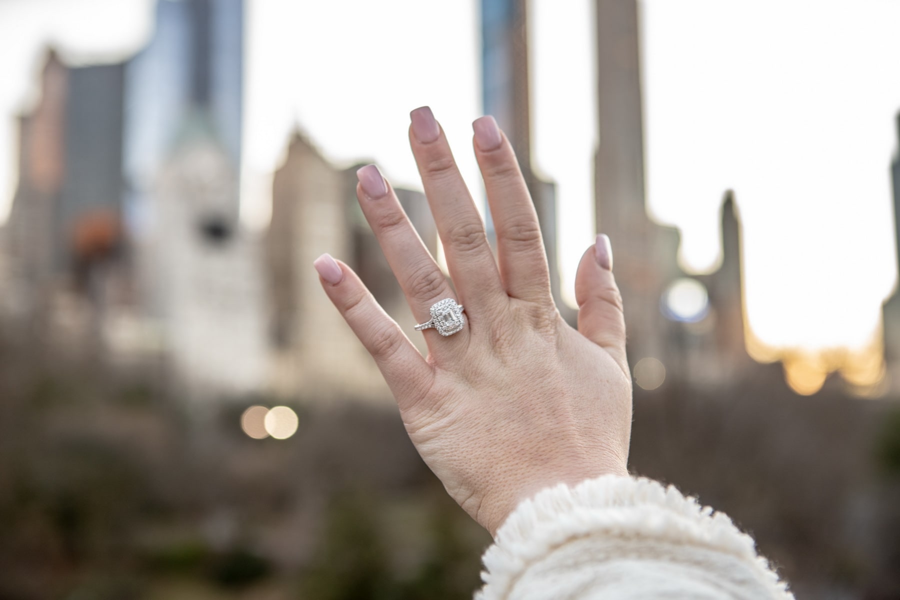 Stories from our clients: Haley and Bradly engagement in Central Park