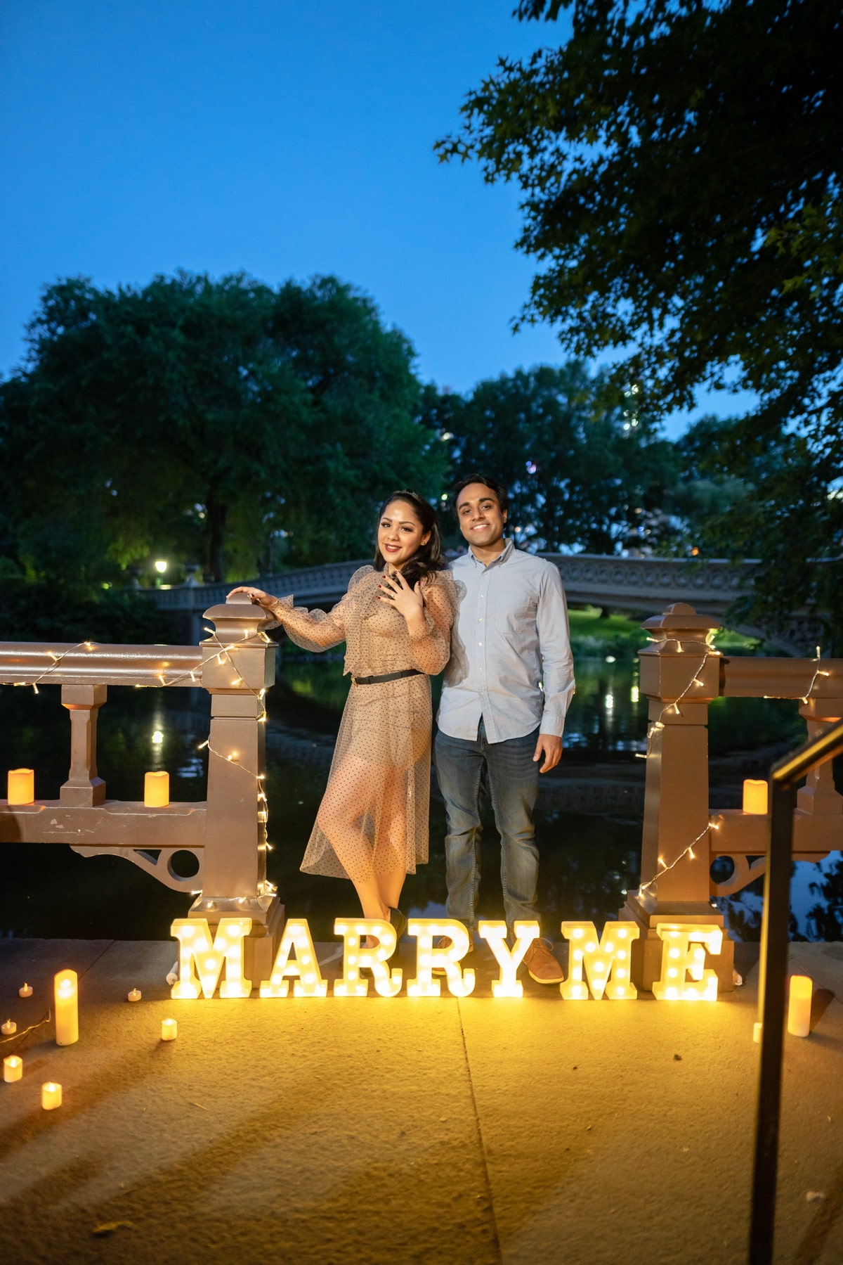 Beauty and the Beast theme marriage proposal