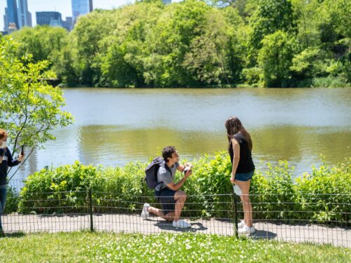 Our first Zoom marriage proposal was so much fun!