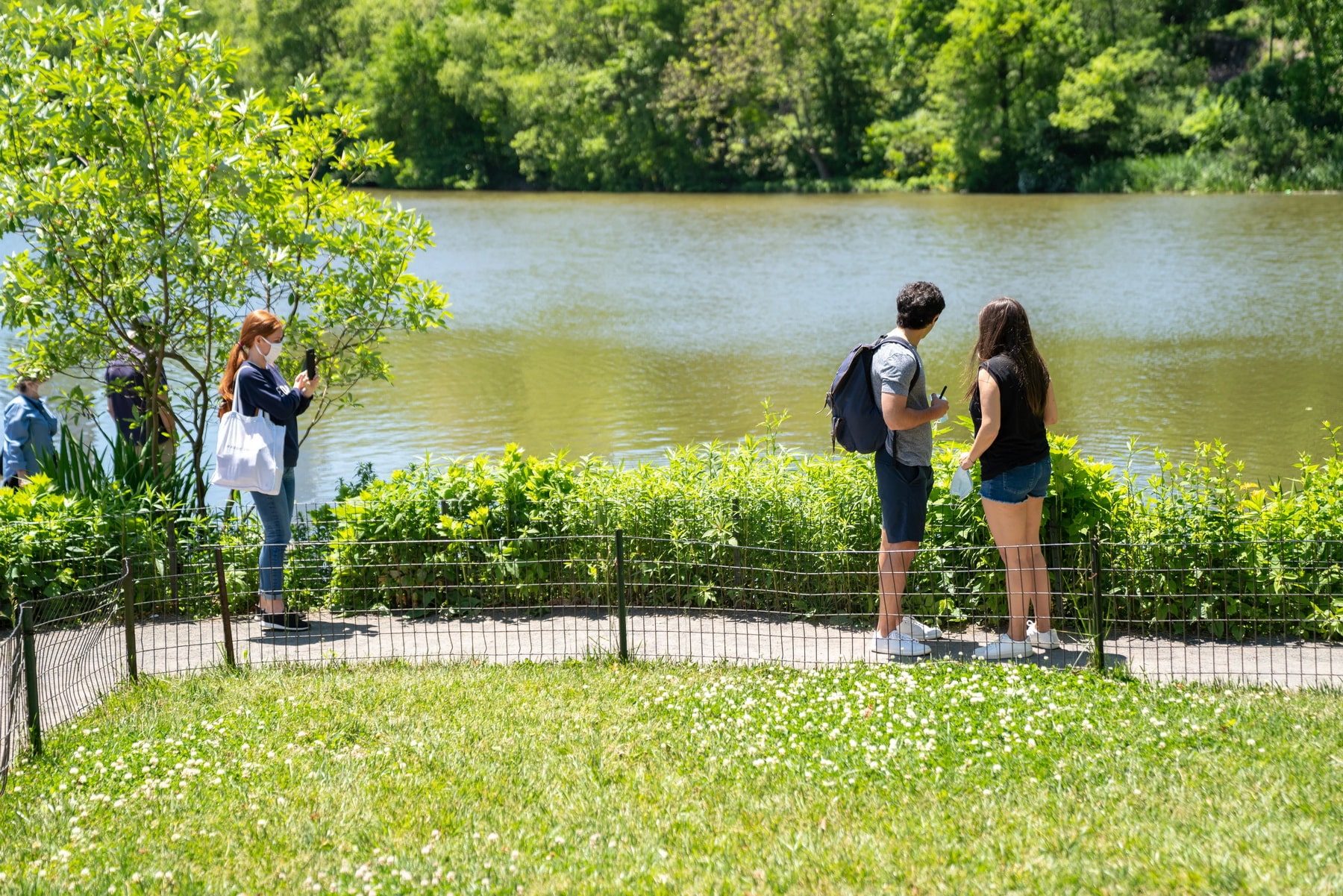 Our first Zoom marriage proposal was so much fun!