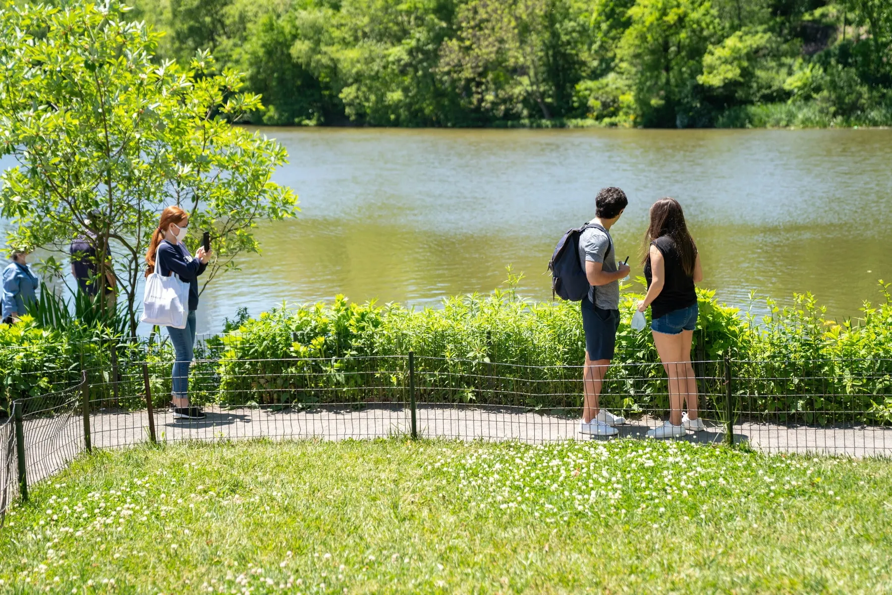 Our first Zoom marriage proposal was so much fun!