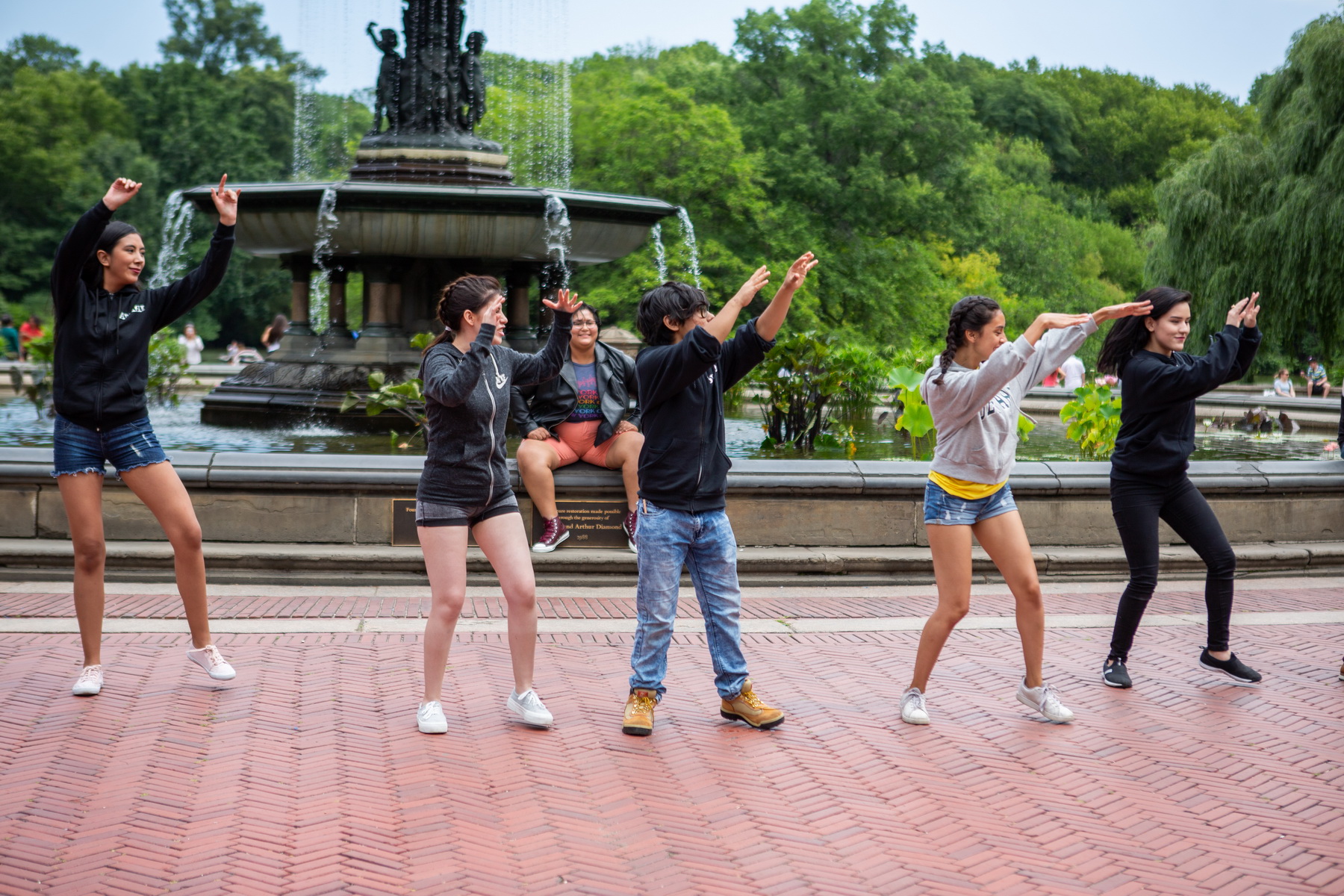 LGBT flash mob marriage proposal in Central Park