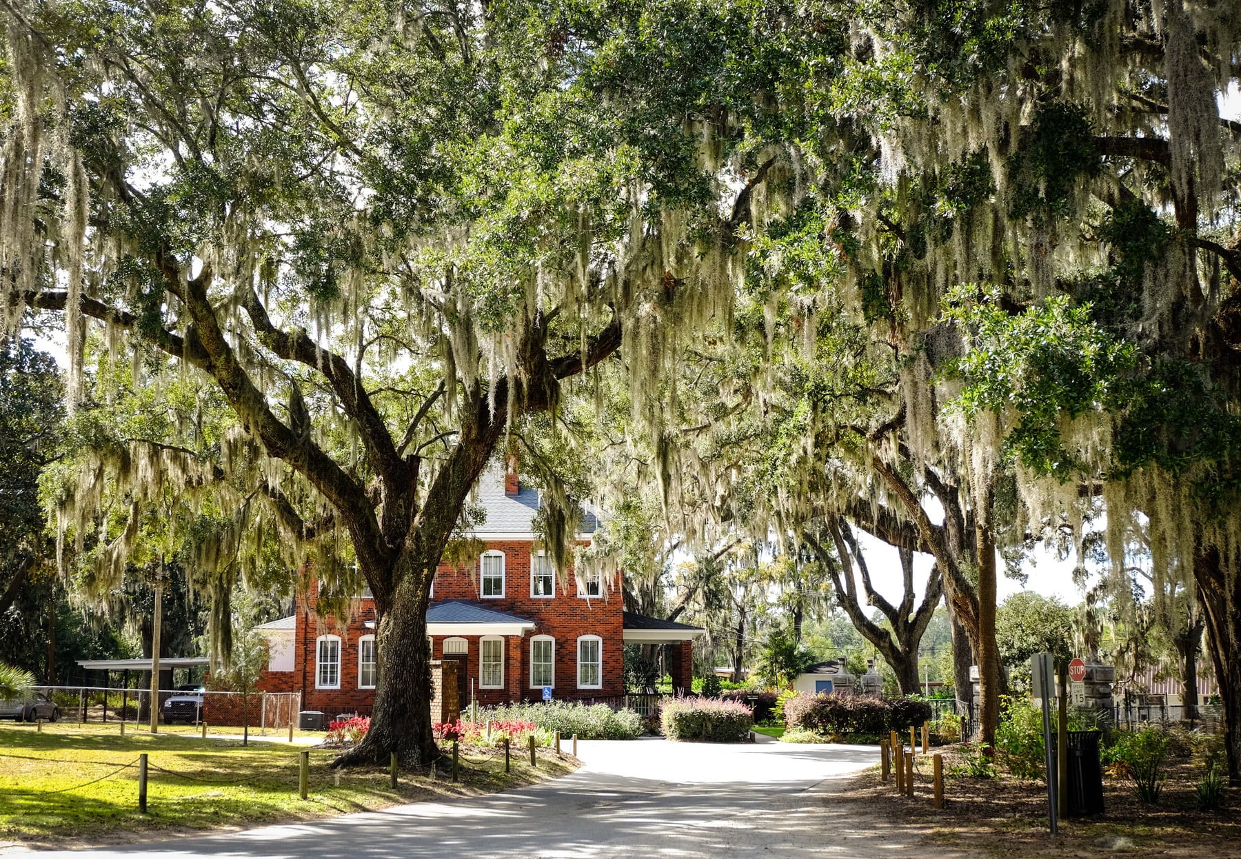 Best places to propose in Savannah, GA