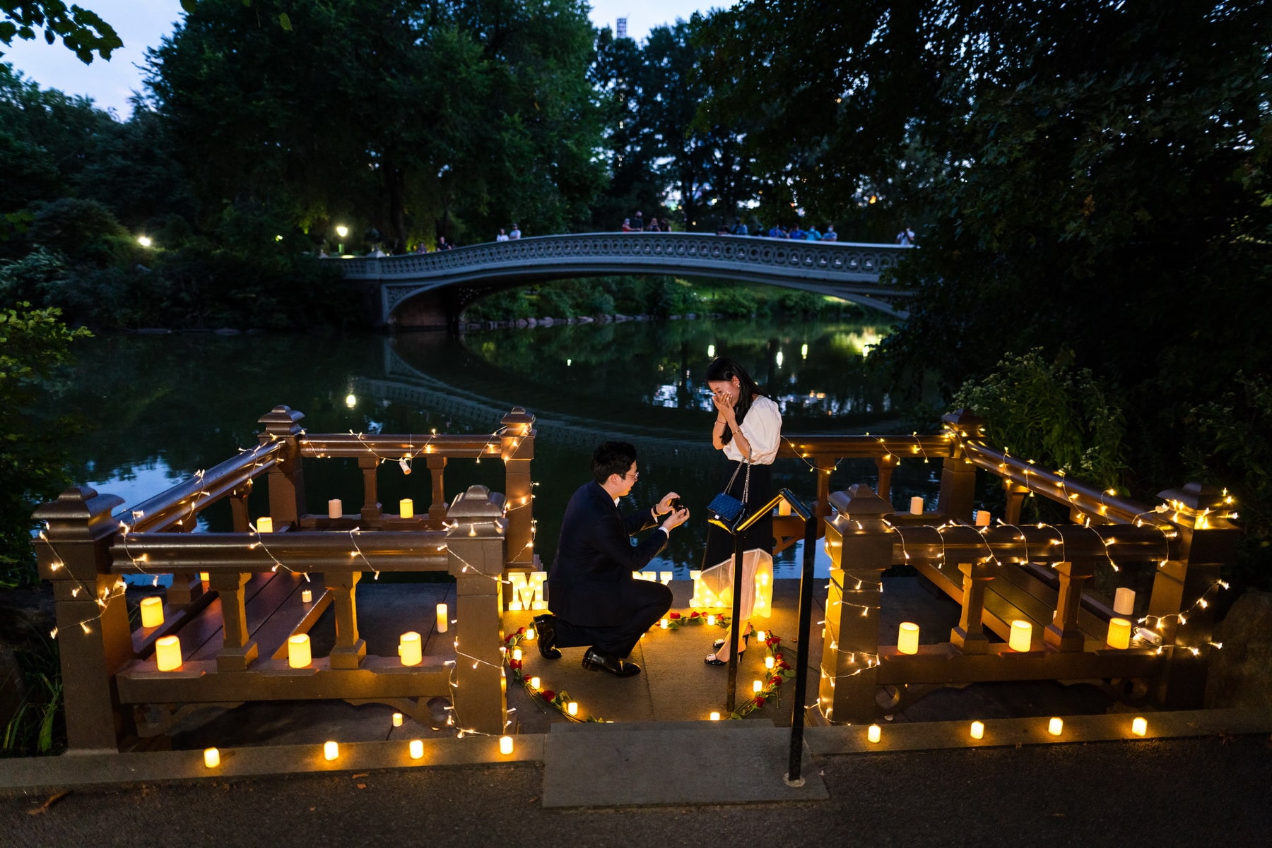 Central Park candlelight proposal