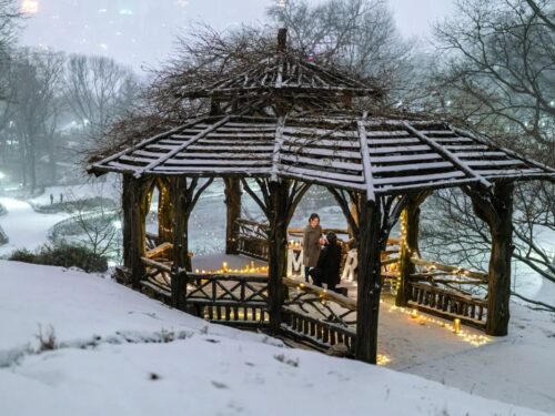 Snow Day surprise engagement in Central Park