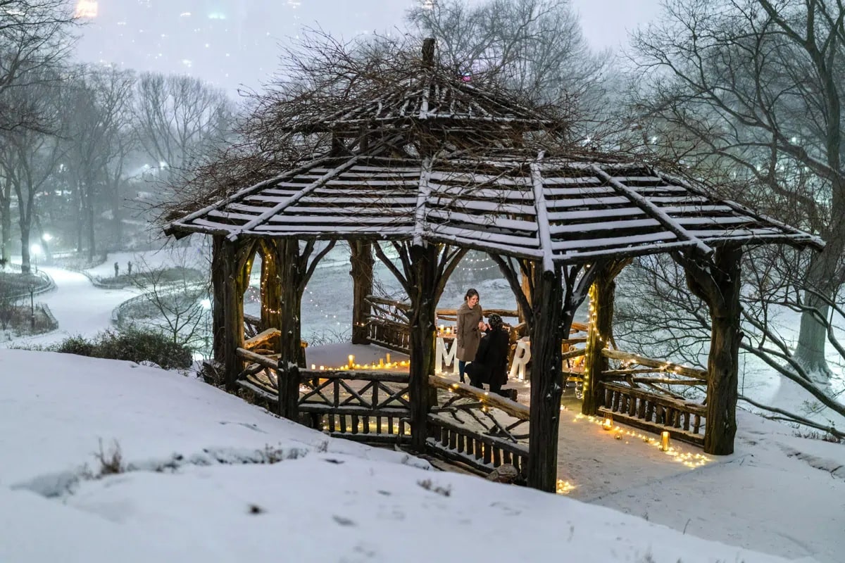 Snow Day surprise engagement in Central Park