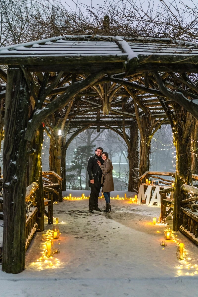 Snow Day surprise engagement in Central Park